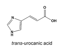 天然保濕因子UCA